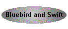 Bluebird and Swift