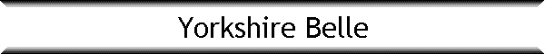 Yorkshire Belle